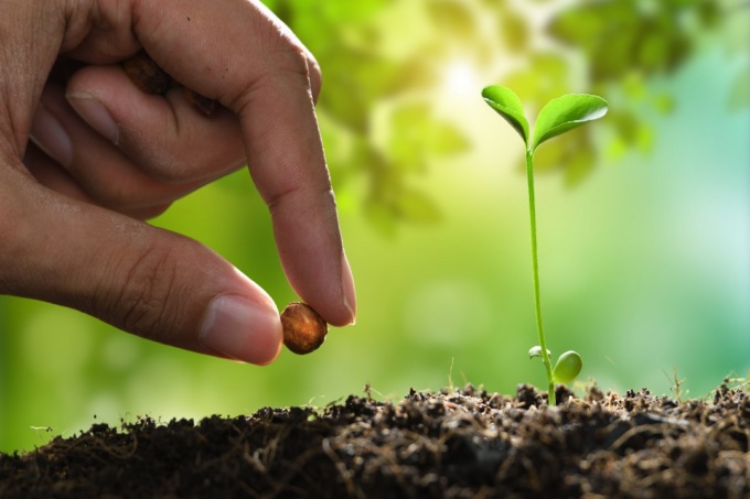 Sostenibilità, da Regione Lombardia 11 milioni a oltre mille aziende agricole