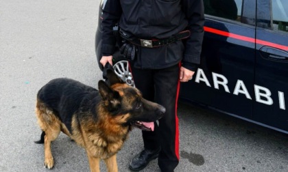 Carabinieri salvano un cane nella stazione della metropolitana