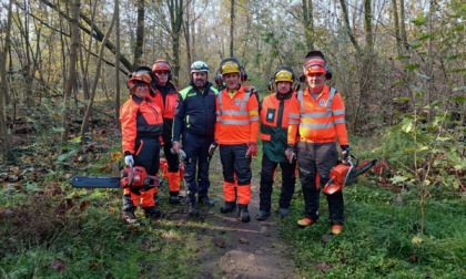 La Protezione civile mette in sicurezza il Bosco del fontanone