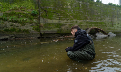 Poca acqua e rifiuti abbandonati: Molgora osservato speciale