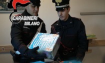 Carabinieri e artificieri sequestrano 36 chili di fuochi d'artificio illegali