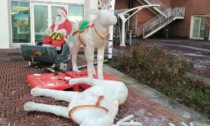 Non c'è pace per Babbo Natale a Pioltello: l'illuminazione è stata nuovamente vandalizzata