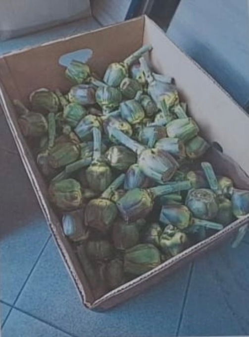 Fruttivendoli abusivi al mercato di Brugherio, vedono la polizia e scappano abbandonando la merce