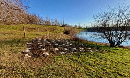 Piantati 200 nuovi alberi nel Parco Increa