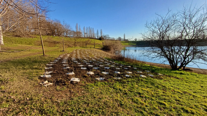 Piantati 200 nuovi alberi nel Parco Increa