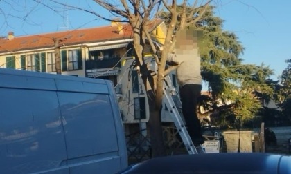 Fa legna tagliando un albero comunale: denunciato un anziano