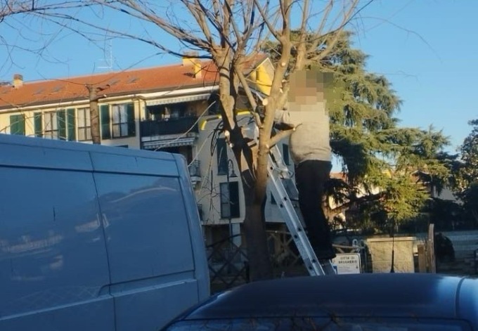 Fa legna tagliando un albero comunale: denunciato un anziano