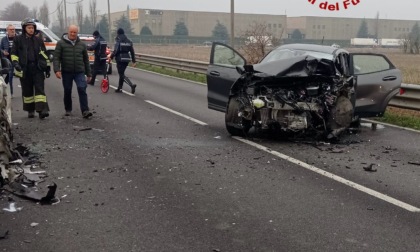 Perde il controllo dell'auto e si schianta contro un furgone: dentro dieci cani