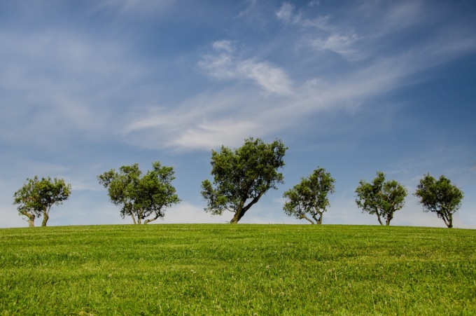 100 nuovi alberi in arrivo al Giardino del Respiro di Segrate