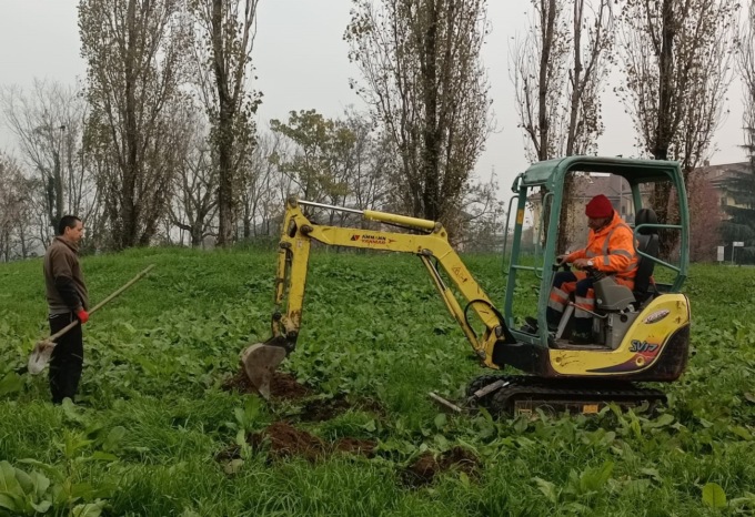 A Cassina de’ Pecchi manutenzioni di primavera al patrimonio arboreo del Comune