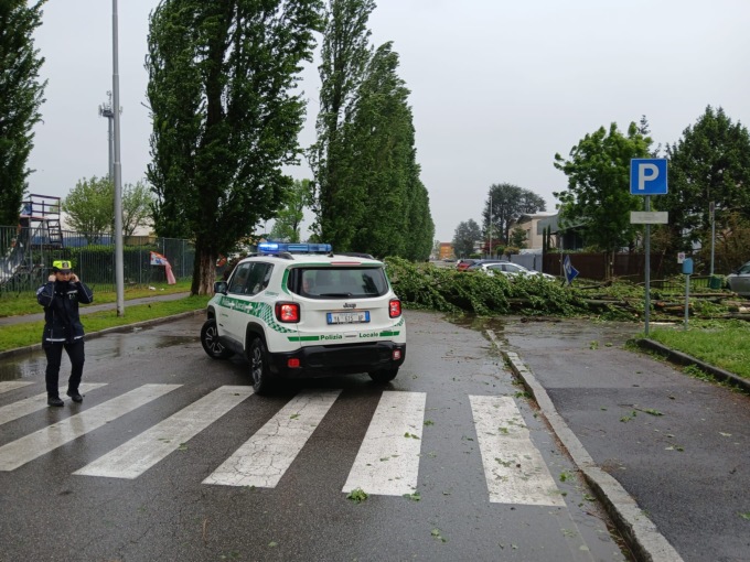 Forte vento in Adda Martesana: alberi caduti e allerta sulle strade