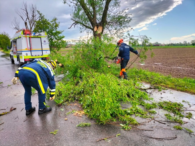 Maltempo l’allarme di Coldiretti: “Lombardia al primo posto per alberi pericolanti”