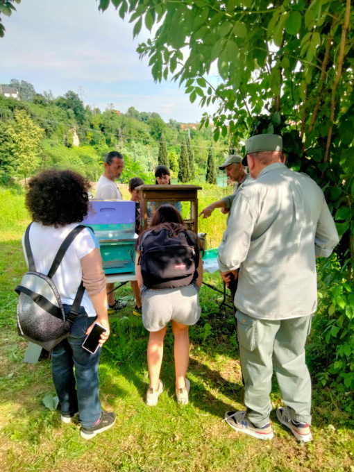 Bioblitz, tre appuntamenti al Parco Adda Nord
