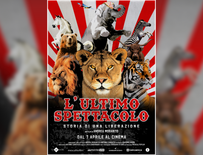 Il più grande sequestro di animali da circo approda al Cinema Arcadia di Bellinzago