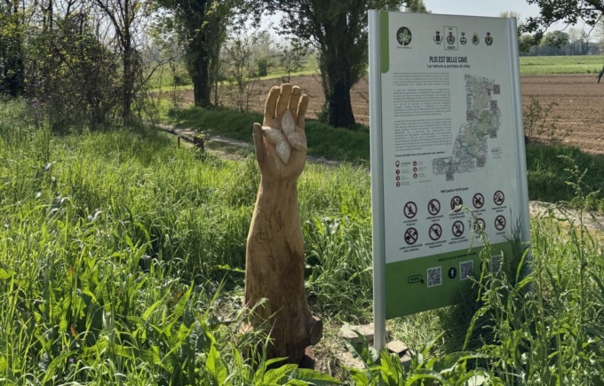 Gli alberi abbattuti dal maltempo diventano arte ambientale