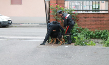 Blitz all'alba dei Carabinieri, decapitata la banda di spacciatori: rifornivano il territorio di cocaina
