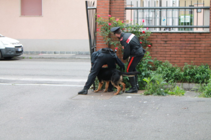 Blitz all’alba dei Carabinieri, decapitata la banda di spacciatori: rifornivano il territorio di cocaina