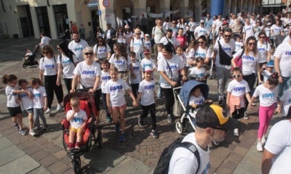 Dalla pulizia dei parchi alla Marcia delle Pecorelle: gli eventi a Melzo per la Civil Week