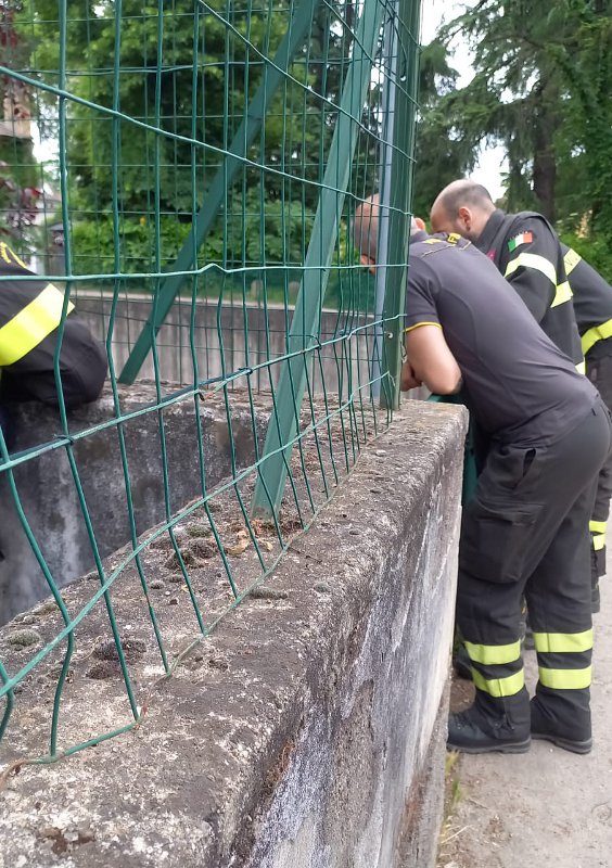 Cernusco soccorso--01-OK