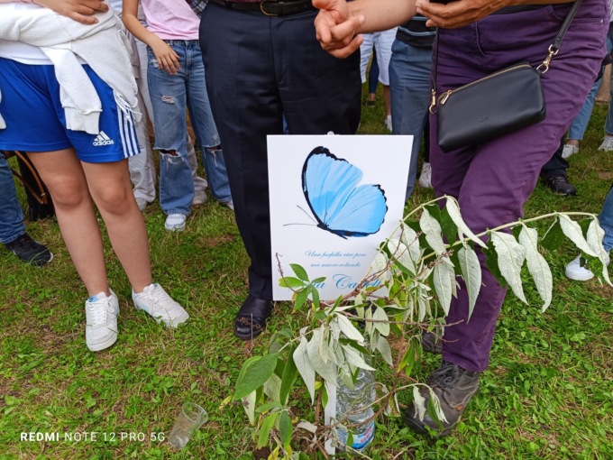 Fiori e piante per ricordare il 22esimo compleanno di Sofia Castelli, vittima di femminicidio
