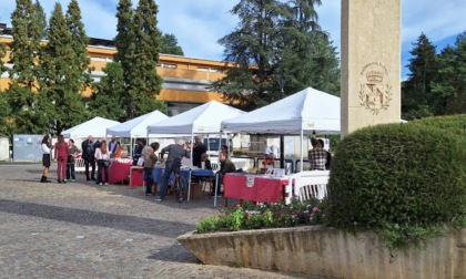 Aspettando il Festival della poesia a Pessano con Bornago... in musica
