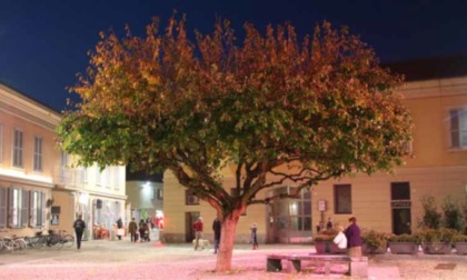 Nuove opportunità per le associazioni locali con il bando di Fondazione Cernusco SMS