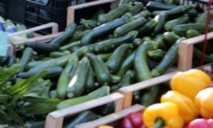 Vaprio: sabato il debutto del "Mercato agricolo di Leonardo"
