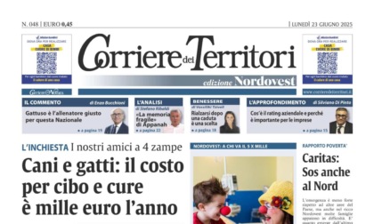 Animali da compagnia, quanto ci costano? L'inchiesta del nuovo Corriere dei Territori