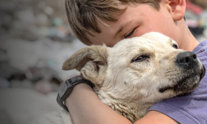La nuova campagna di Enpa contro l'abbandono di cani e gatti