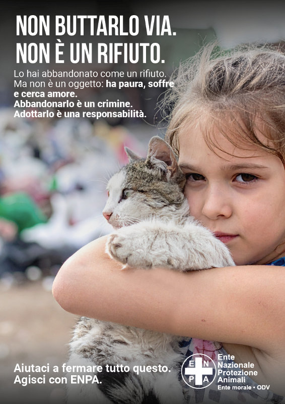 Enpa-Antiabbandono-gatto_bassa-ris