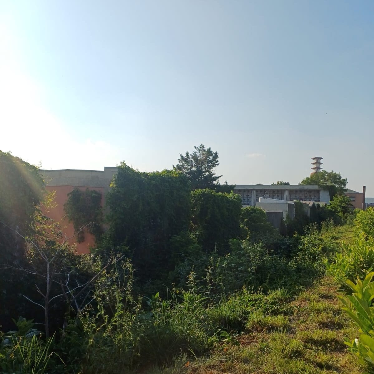 IMG-20250622-WA0021