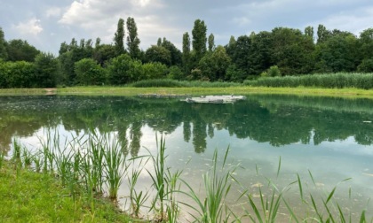 Inaugurato il nuovo lago naturalistico del Parco Nord