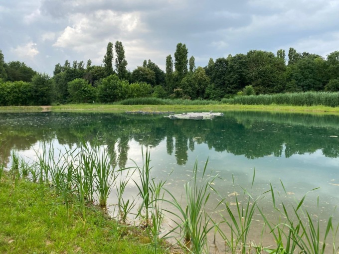 Inaugurato il nuovo lago naturalistico del Parco Nord