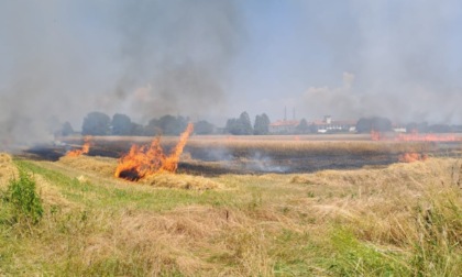 Un mezzo agricolo va a fuoco e l'incendio si propaga al campo: paura sulla Provinciale