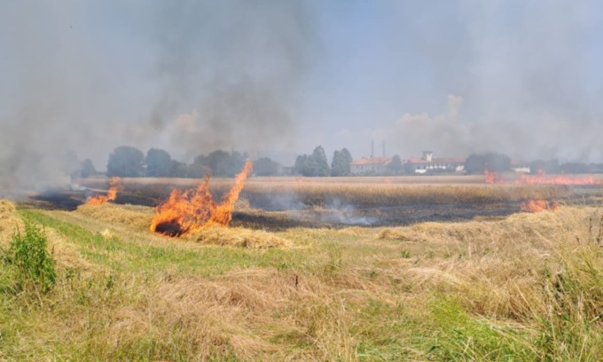 Un mezzo agricolo va a fuoco e l’incendio si propaga al campo: paura sulla Provinciale