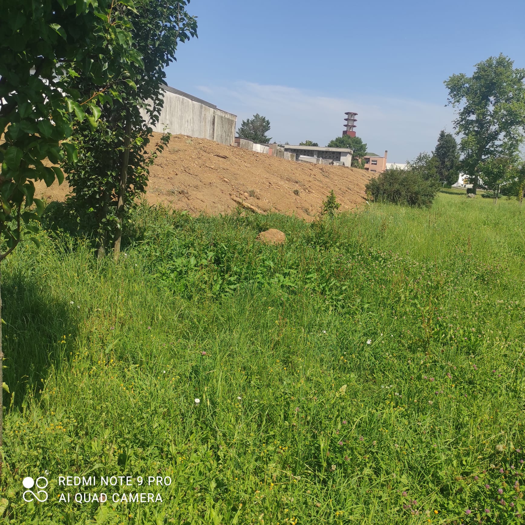 PHOTO-2025-06-18-11-15-47 (2)