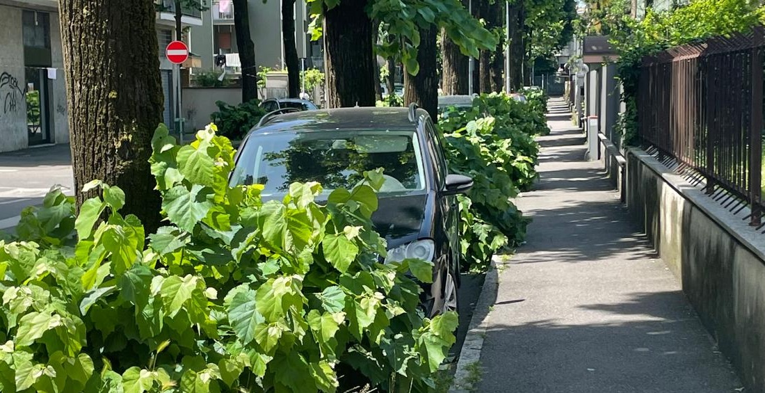 brugherio via sciviero polloni
