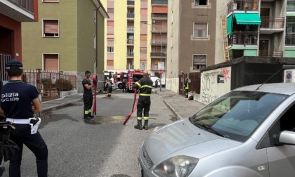 Fiamme in un appartamento. Muore il cane che si trovava all'interno