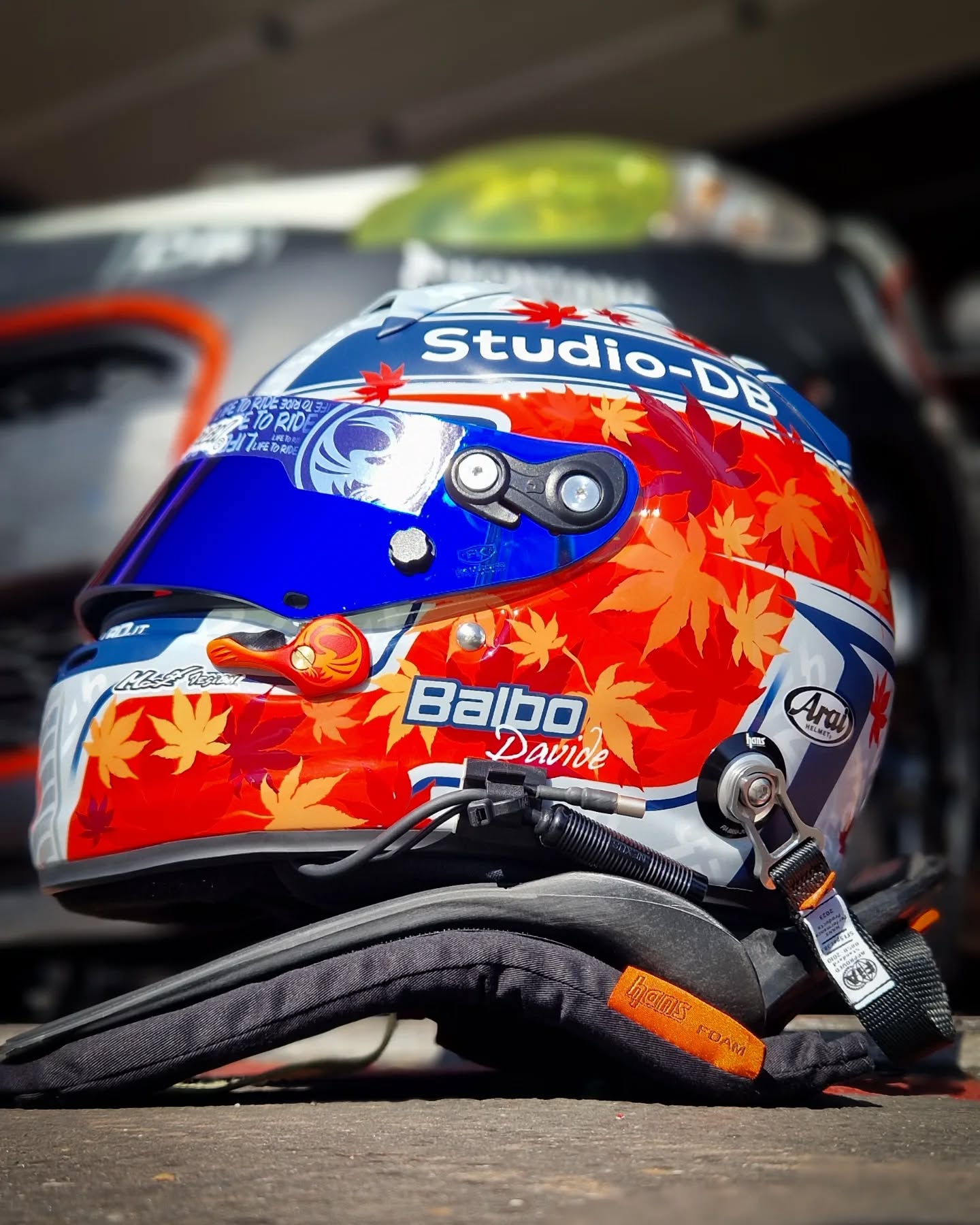 Zolder 5