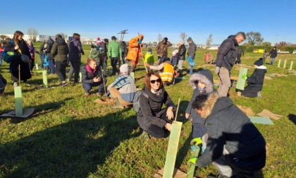 Forestami: entrano nel vivo i progetti di piantumazione del territorio: 2223 nuovi alberi in paese.