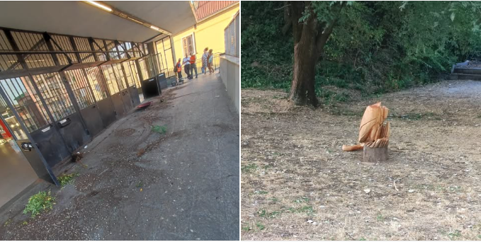 Airone decapitato un’altra volta: vandali rovesciano anche delle piante