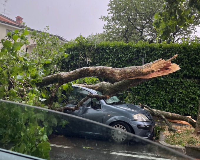 Pioggia e forte vento, crollano degli alberi: uno finisce su un’auto
