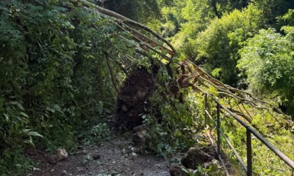 Emergenza maltempo: una nuova frana investe la ciclopedonale lungo l'Adda