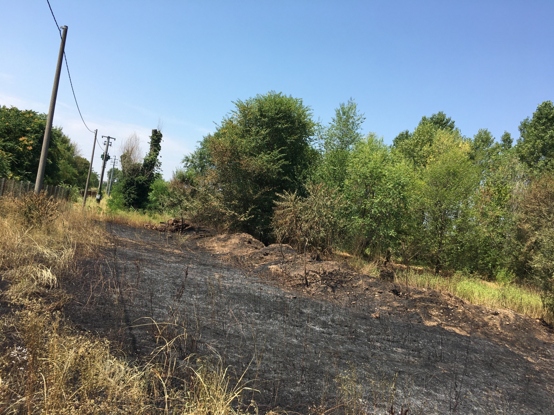 70441974_incendio 2