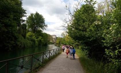 Il Parco Adda Nord invita oratori e centri estivi a fare un giro nella  sua area protetta