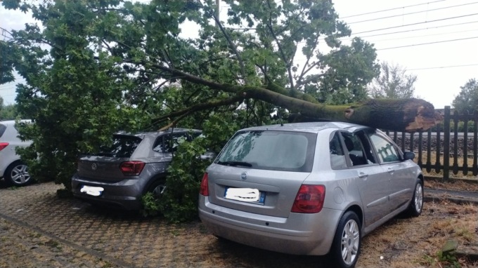 Alberi abbattuti dalla furia del vento a Cassina de’ Pecchi e Bussero