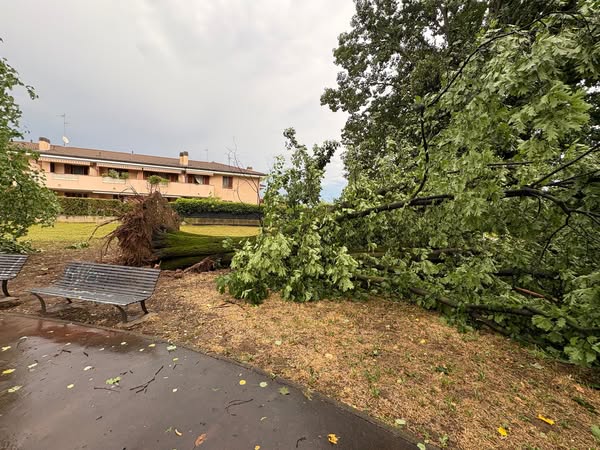 Rimossi due alberi pericolanti nel parco chiuso per il crollo di una quercia