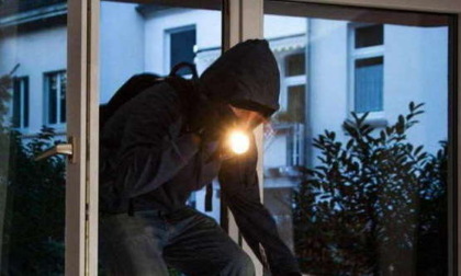 Sgominata banda di ladri specializzata in furti in appartamento