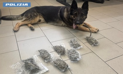 Nel letto dei bambini aveva nascosto quasi 4 etti di droga