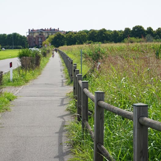Ciclabile tra Carugate e Pessano: stanziati 25mila euro per una nuova staccionata
